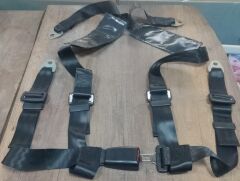 2540-01-246-1013   BELT,SAFETY   12252978