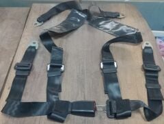 2540-01-246-1013   BELT,SAFETY   12252978
