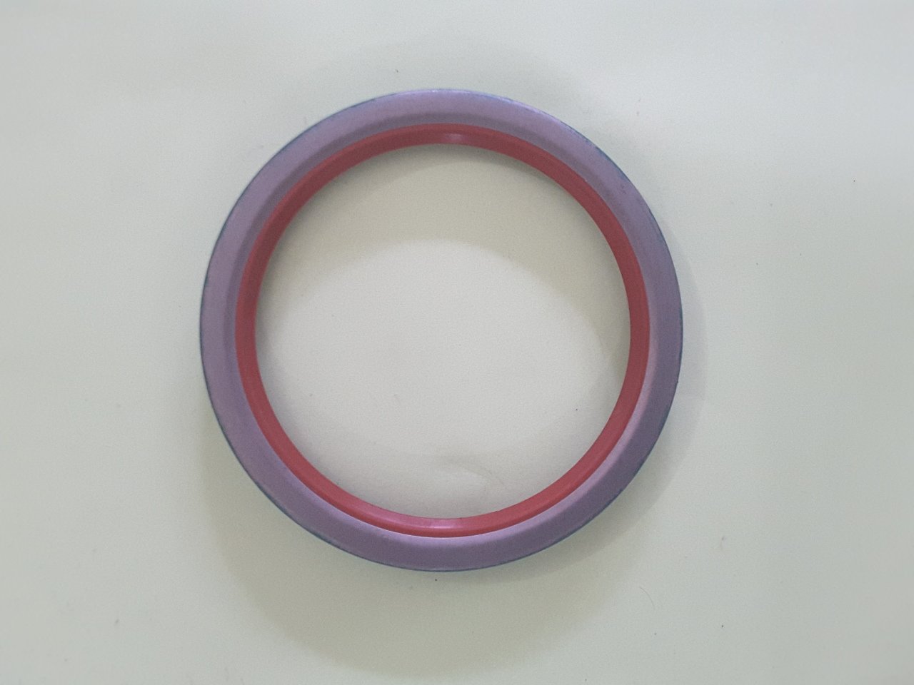 SEAL,PLAIN ENCASED