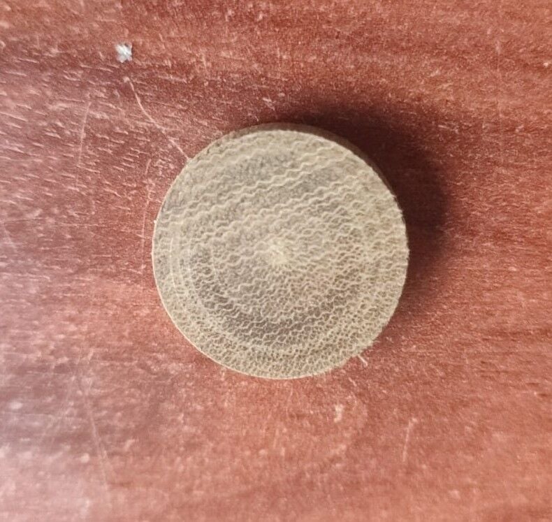 5133431    DISK,VALVE   4820-00-944-6249      5575088