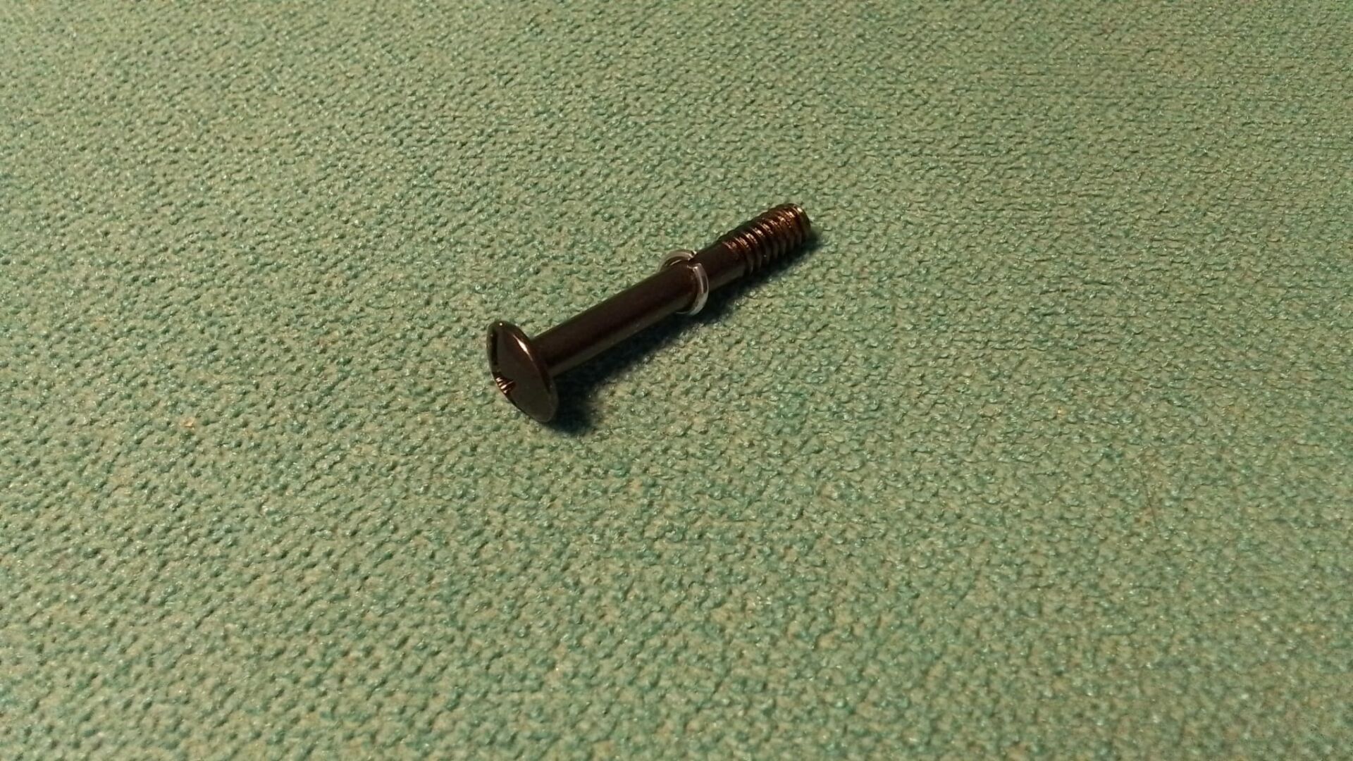 11639546-SC PARKING LIGHT LENS SCREW